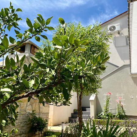 Barbariga Apartments ボドニャン エクステリア 写真